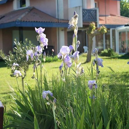 Villa Helianthe Audenge Eksteriør billede