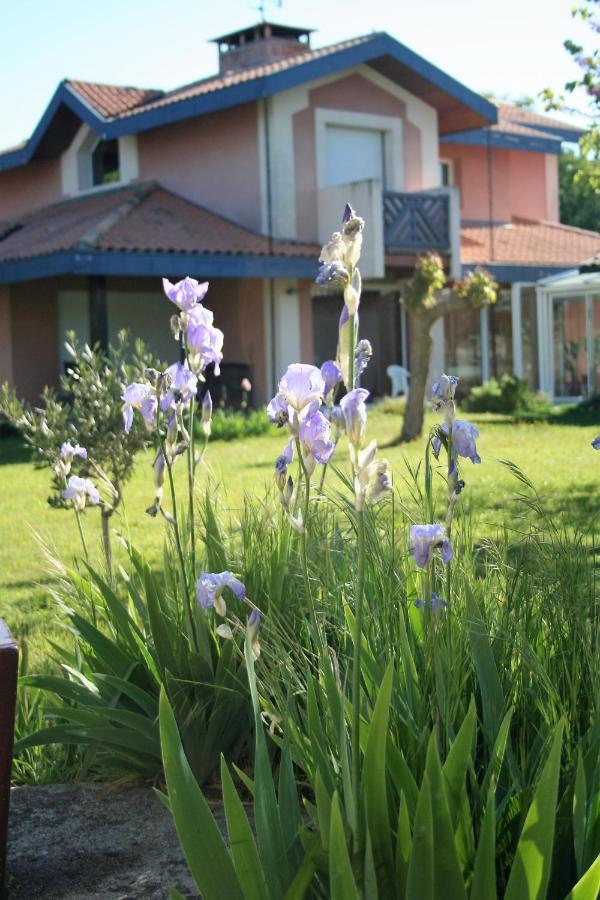 Villa Helianthe Audenge Eksteriør billede